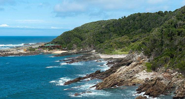 3-Day Cape Town Big Five Safari & Elephant Experience - Knap Tours Limited 9