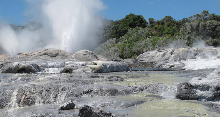 5 jours Reykjavík Islande & Eclipse solaire Aventure en mer - Petit groupe - STM Tours LLC 7