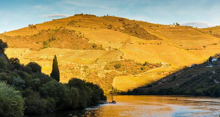 5 Days in Porto: Exploring Nature, Culture & Historic Cities - STM Tours LLC 6