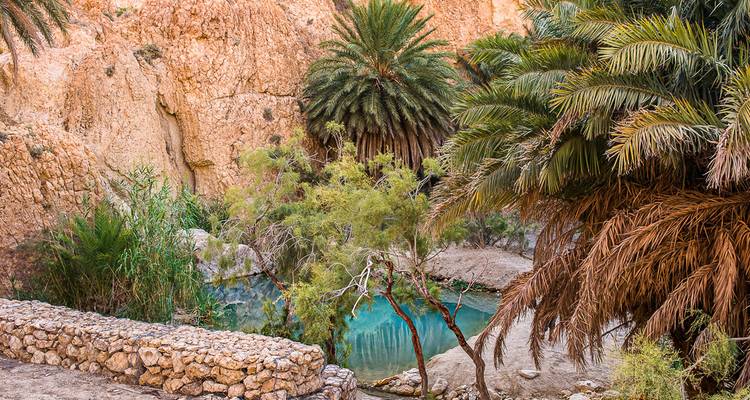 Sahara - 9 Days Adventure Trip - Chamaeleon 9