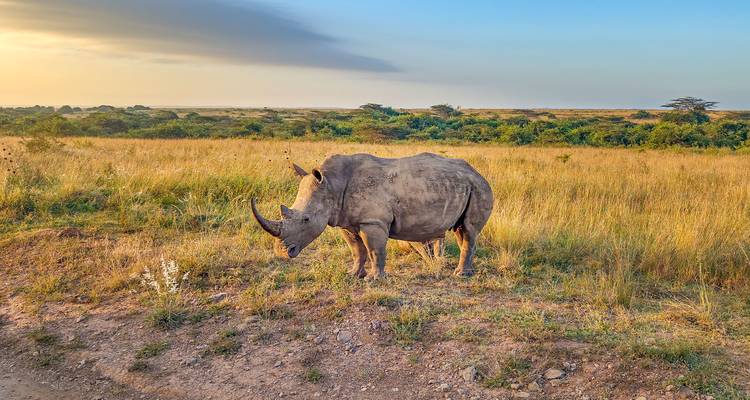 SAFARI D'UNE JOURNÉE DANS LE PARC NATIONAL DE MKOMAZI - Johnadventures 1
