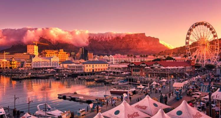 Safari de 3 jours au Cap et escapade dans les vignobles - Knap Tours Limited 5