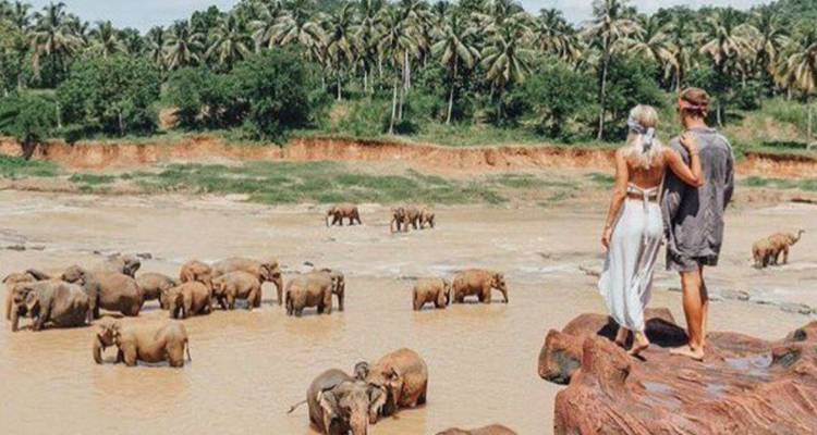 3-Day Chobe Midrange Safari with Boat and Game Drives - Knap Tours Limited 5