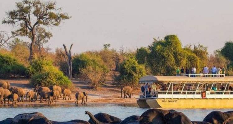 3-Day Chobe Midrange Safari with Boat and Game Drives - Knap Tours Limited 6