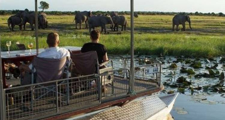 3-Day Chobe Midrange Safari with Boat and Game Drives - Knap Tours Limited 9