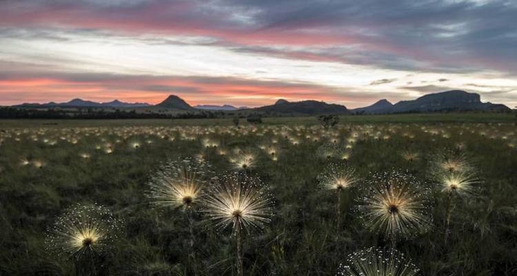 5 jours Brasilia & Chapada dos Veadeiros - Responsible Travel South America 5