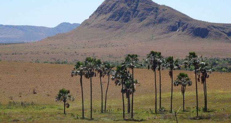 5 jours Brasilia & Chapada dos Veadeiros - Responsible Travel South America 3