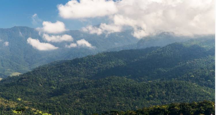 7 jours de plages à l'histoire : Découvrez Rio et Paraty - Responsible Travel South America 4