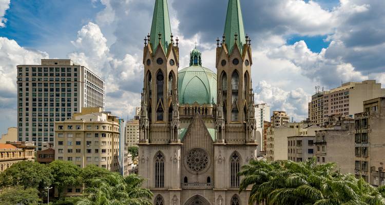 Neo-gotische São Paulo-kathedraal omgeven door palmbomen onder een dramatische bewolkte lucht.