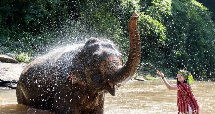 Éléphant éclaboussant de l'eau pendant qu'une personne regarde.