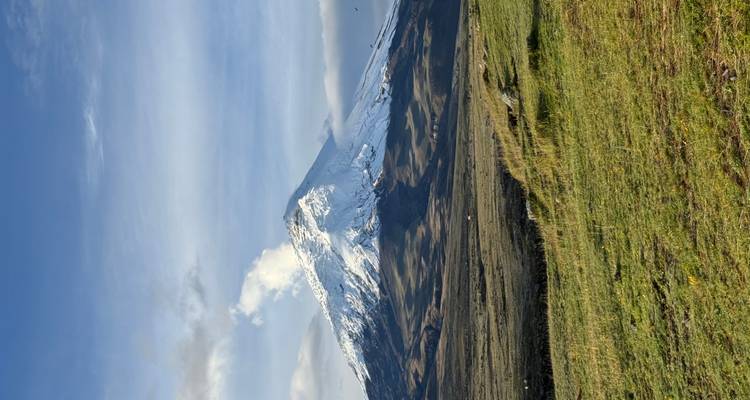 Montaña cubierta de nieve bajo un cielo azul vista desde un campo de hierba.