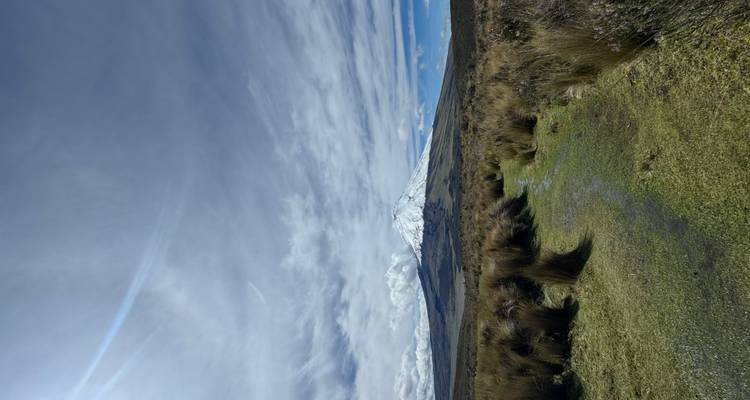 Sendero que lleva a una montaña nevada bajo un cielo nublado.