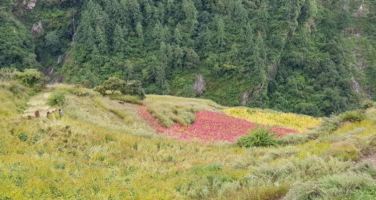 Trek du Manaslu et de la vallée de Tsum - Adventure Bound 1