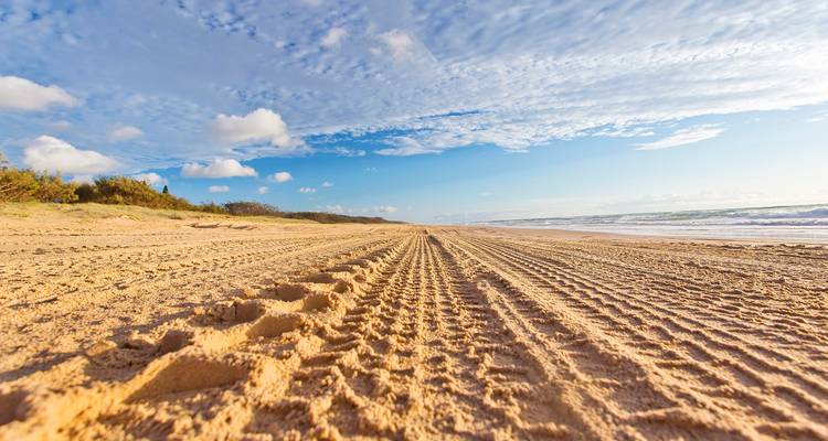 De Sydney à Cairns : 21 jours d'excursion SELECT en UEM (en chambre double ou individuelle) - Stray Australia  10
