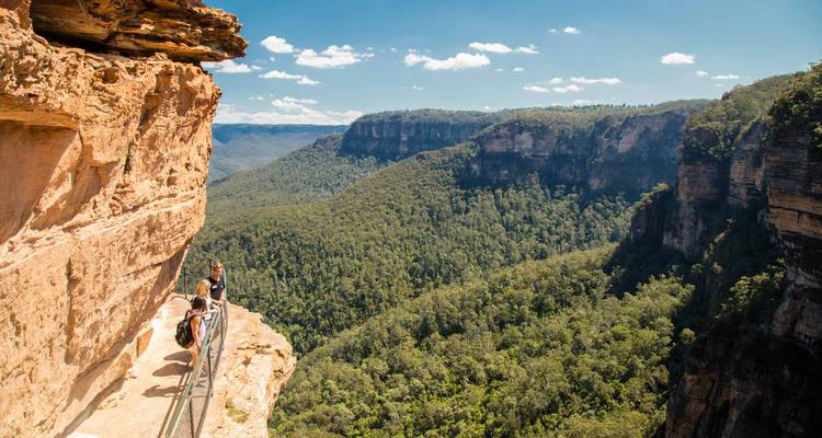 De Sydney à Cairns : 21 jours d'excursion SELECT en UEM (en chambre double ou individuelle) - Stray Australia  2