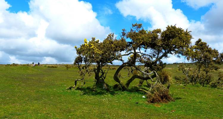 Devon & Cornwall Small Group from London - 5 Days - Click Tours 8