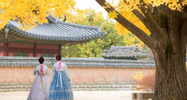 Arquitectura tradicional coreana con hojas de otoño.