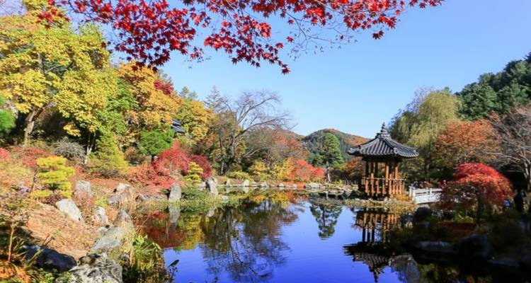 Jardín sereno con una pagoda y reflejos en el estanque.