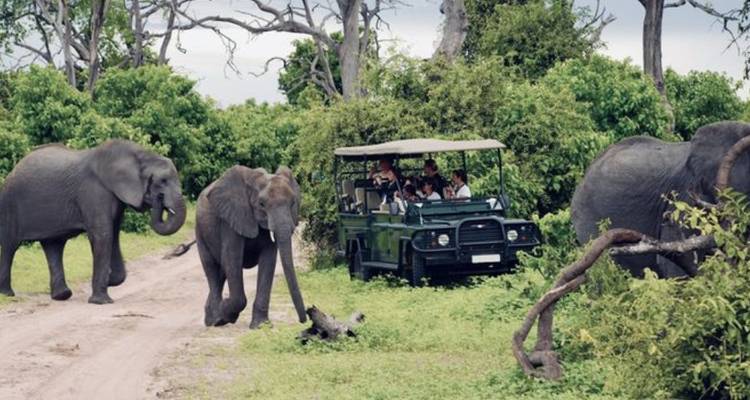 3-Day Chobe Park & Okavango Delta Safari Journey - Knap Tours Limited 3