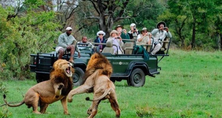 3-Day Chobe Park & Okavango Delta Safari Journey - Knap Tours Limited 4