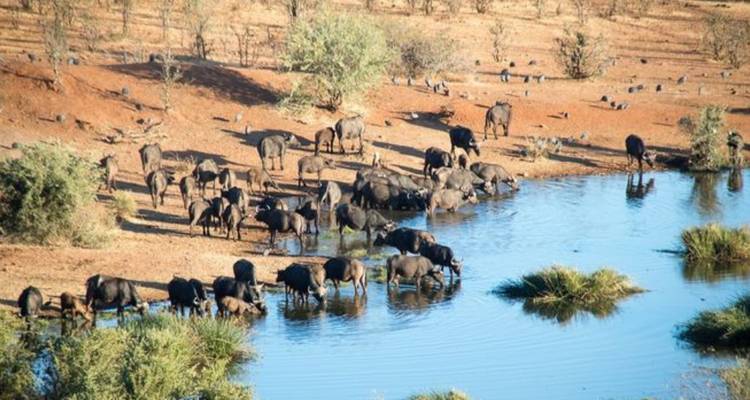 Circuit classique de 3 jours à Victoria Falls - Knap Tours Limited 1