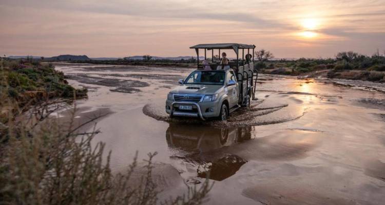 3-Day Inverdoorn Big Five Safari & Cheetah Run - Knap Tours Limited 1