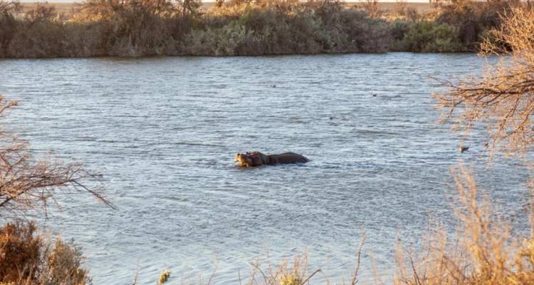 3-Day Inverdoorn Big Five Safari & Cheetah Run - Knap Tours Limited 3