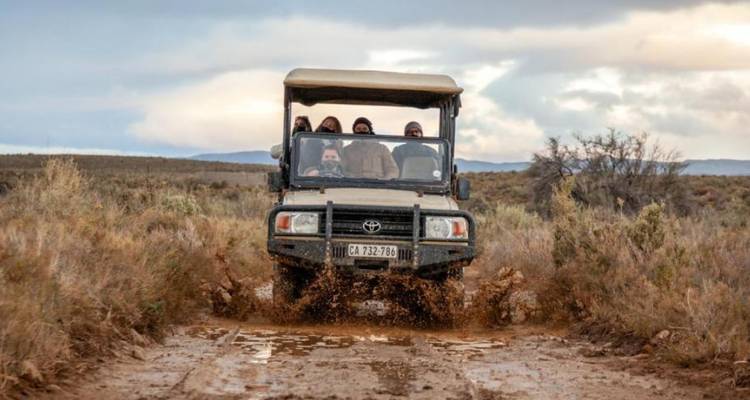 3-Day Inverdoorn Big Five Safari & Cheetah Run - Knap Tours Limited 10