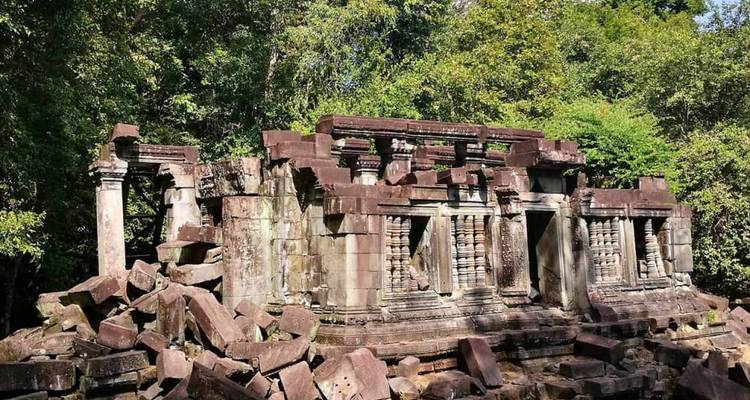 Restos de ruinas de templos antiguos rodeados de vegetación.