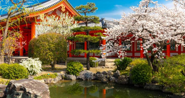 Imperial Capitals of Japan with Kanazawa Small Group Tour - Firebird Tours 5