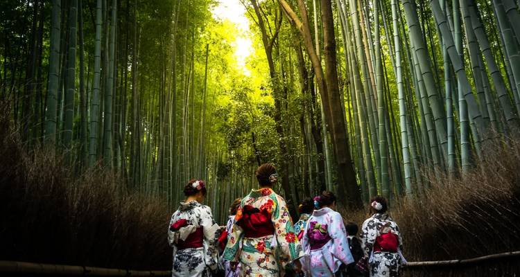 Imperial Capitals of Japan with Kanazawa Small Group Tour - Firebird Tours 2