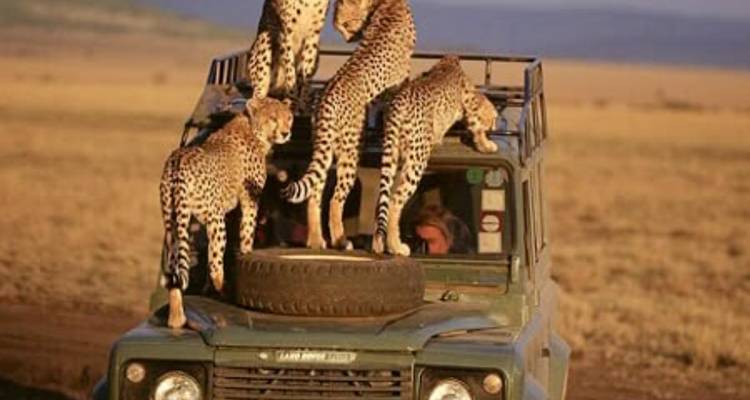 3-Day Okavango Mokoro & Camping Safari Adventure - Knap Tours Limited 5