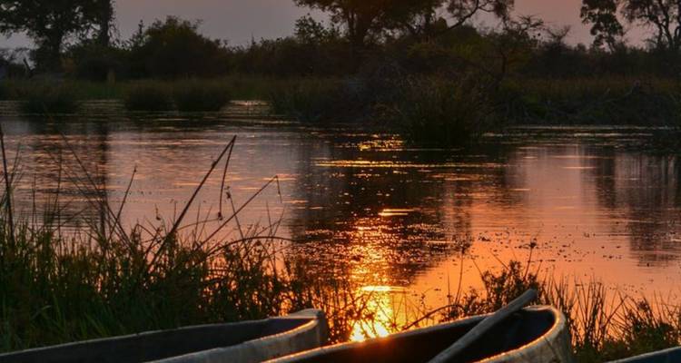 3-Day Okavango Mokoro & Camping Safari Adventure - Knap Tours Limited 1