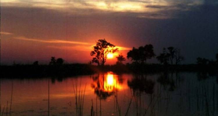 3-Day Okavango Mokoro & Camping Safari Adventure - Knap Tours Limited 2