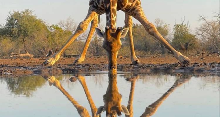 3-Day Okavango Mokoro & Camping Safari Adventure - Knap Tours Limited 4