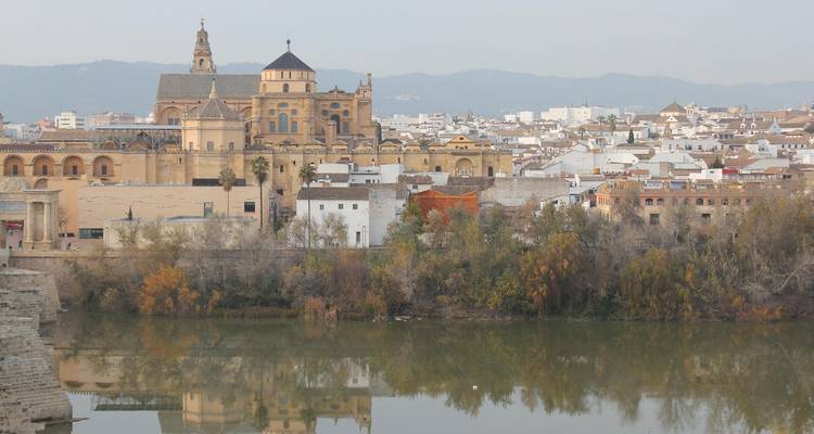 6 jours à Séville : avec des excursions d'une journée à Ronda, Cordoue et l'Alhambra - STM Tours LLC 3