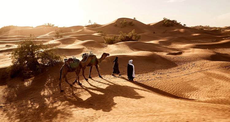 Deux personnes avec des chameaux marchant à travers de vastes dunes de sable doré.