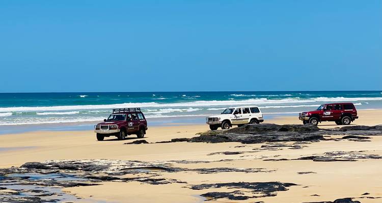 Brisbane to Cairns: 15 Day DINGO SELECT Tour (twinshare or single accom) - Stray Australia  3