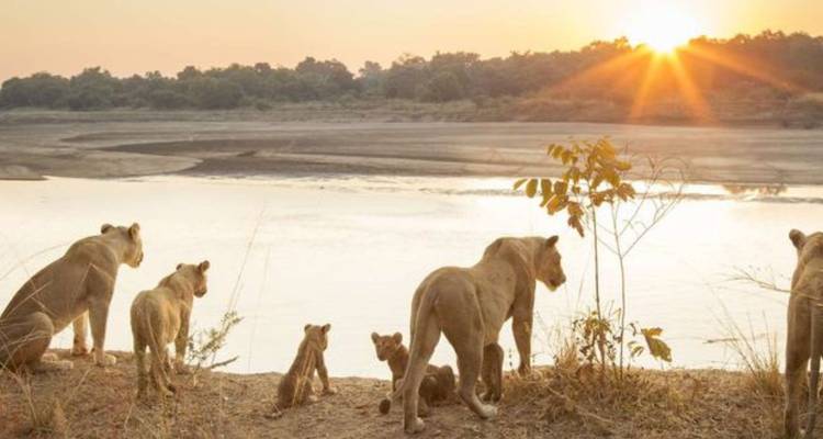 Safari camping de 3 jours dans le Pilanesberg au départ de Johannesburg - Knap Tours Limited 4