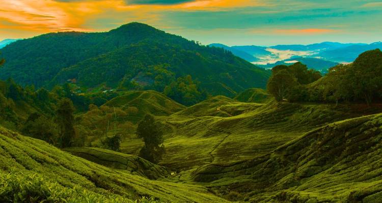 Discover Malaysia: 12 Days in Kuala Lumpur, Cameron Highlands, Penang & Langkawi - Discova 3
