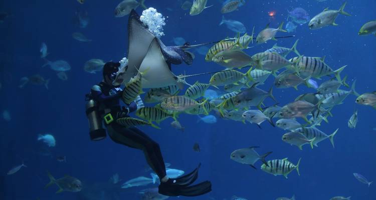 Escapade dans les îles Marshall : plages, culture et aventure dans le Pacifique Sud 7 jours - Across Caribbean Excursions  2