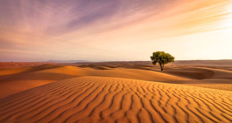 Oman compact - Oasis Travel 4