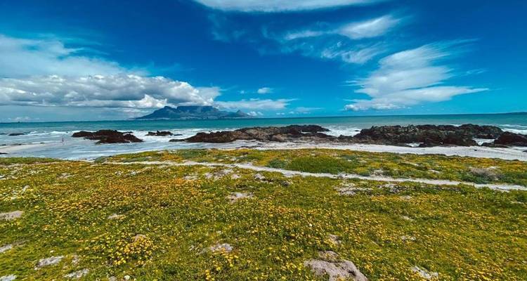 Croisière en bateau de 3 jours au Cap, péninsule du Cap et Winelands - Knap Tours Limited 3