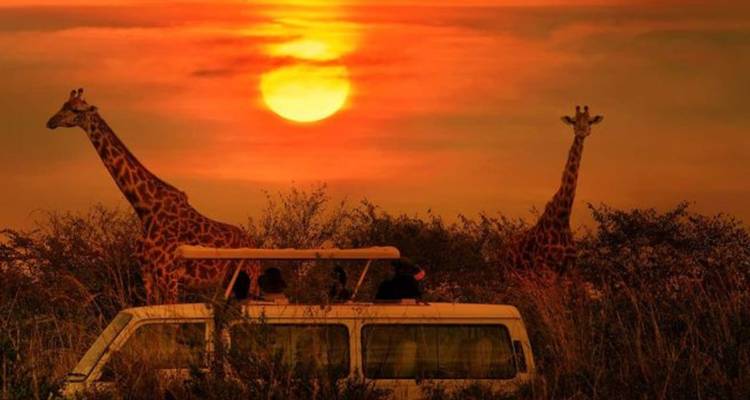 3-Day Luxury Kruger Safari from Johannesburg - Knap Tours Limited 5