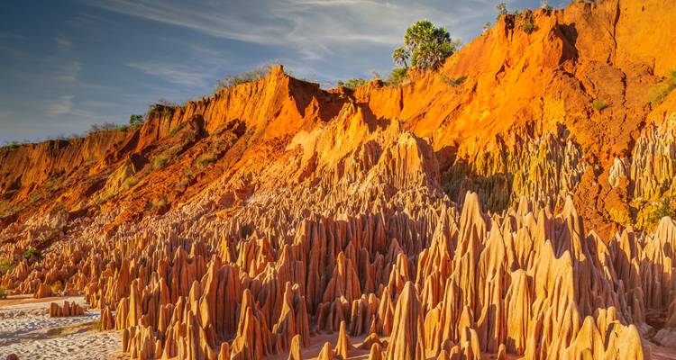 Golden late-day light illuminates the dramatic red Tsingy limestone pinnacles against an orange cliff.