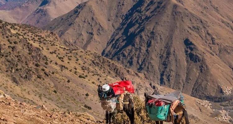 Hike M’GOUN 10 Days Departure From Marrakech - Hike Morocco Tours 3