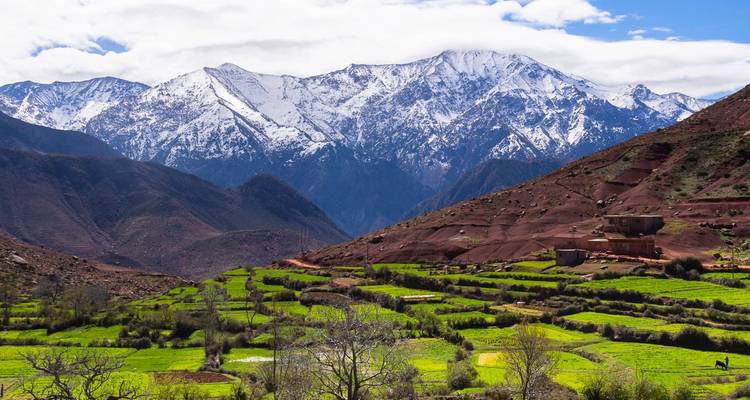 Hike M’GOUN 10 Days Departure From Marrakech - Hike Morocco Tours 2