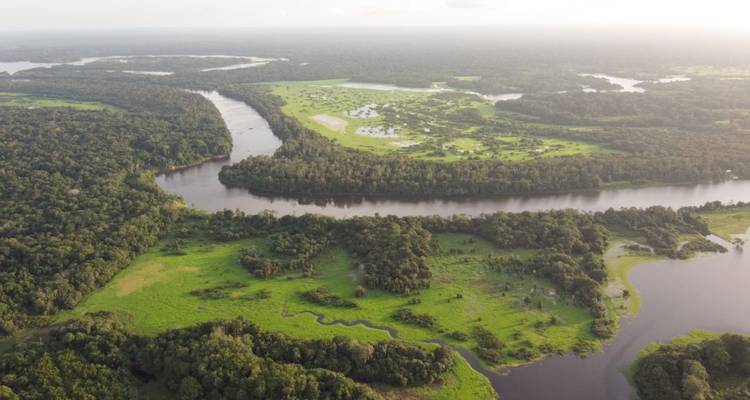 12 jours dans la nature : l'expérience de l'Amazonie brésilienne - Responsible Travel South America 3