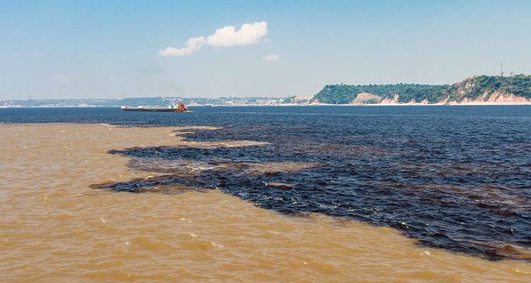 12 jours dans la nature : l'expérience de l'Amazonie brésilienne - Responsible Travel South America 6