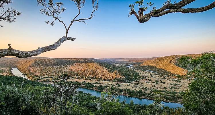 Tsitsikamma - 14 jours d'aventure (from Port Elizabeth to Le Cap) - Chamaeleon 10